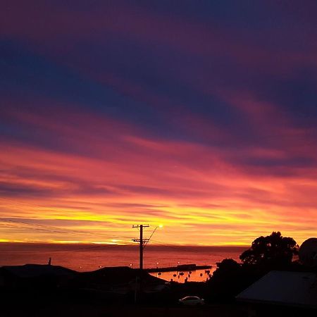 The Cottage Oamaru Exterior foto